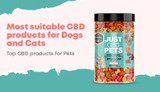 Most Suitable CBD Products for Dogs and Cats - Top CBD Products for Pets