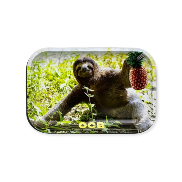 OCB Medium Metal Tray Sloth