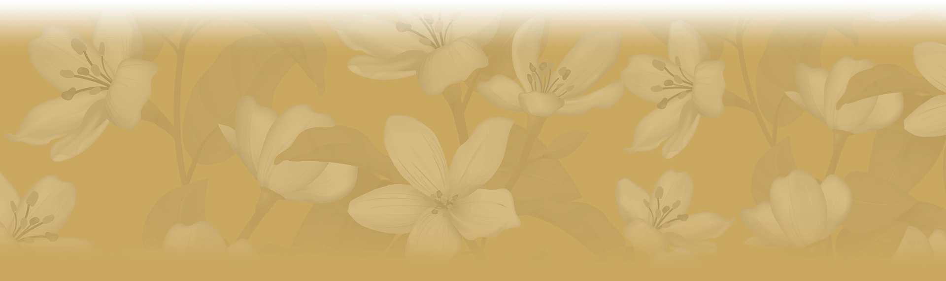 Sign Up For Exclusive Offers From Us