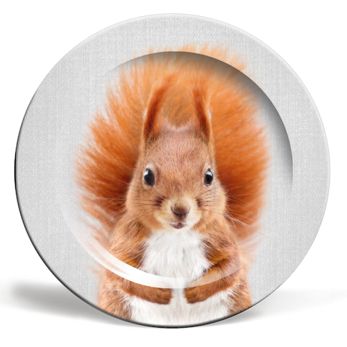 ARTWOW - 6 inch plate ~ Squirrel ARTWOW - 6 inch plate ~ Squirrel