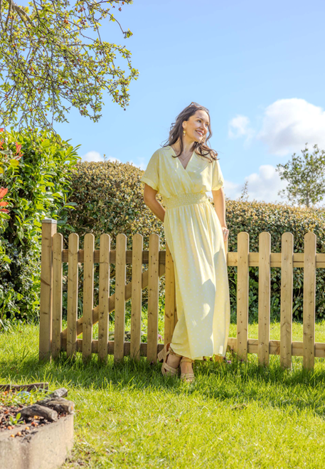 Goose Island Polka Dot Dress ~ Lemon