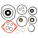 025-067 Hydro Pump Seal Kit for Exmark 105-6184 Ariens 59203600