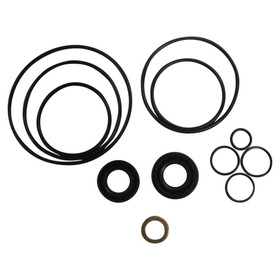 AP S Pump Seal Kit for Ford Holland Tractor 2000 Others - DHPN3A674A