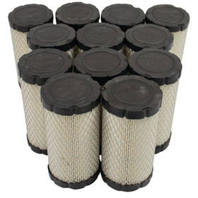 Air Filter Shop Pack 100-004-12 for Briggs & Stratton 793569