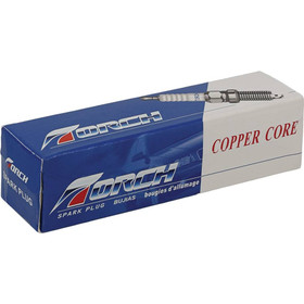 Spark Plug for Bosch HS6E, Champion DJ8J, NGK BM6F, Torch N6RC; 131-155