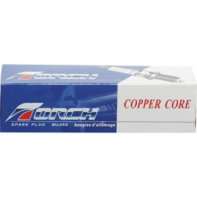 Spark Plug for Bosch HS6E, Champion DJ8J, NGK BM6F, Torch N6RC; 131-155