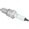 Spark Plug For NGK 4929, DPR8EA-9; 130-143-10