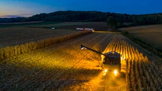 Harvesting at night