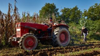 Old tractor in field