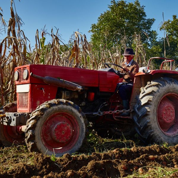 Old tractor in field