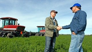 Farmer buying a used tractor