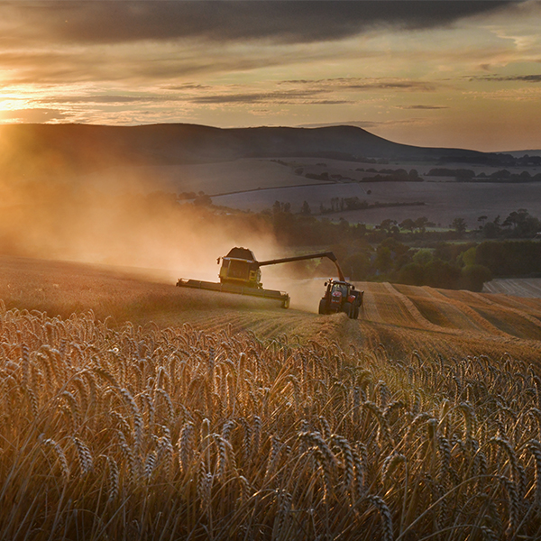 Tractor in field