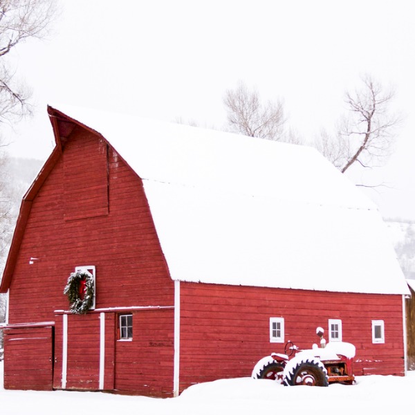 Idle tractor covered in snow during winter