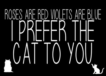 Naughty 209c Roses Are Red Violets Are Blue I Prefer The Cat To You Card Naughty 209c Roses Are Red Violets Are Blue I Prefer The Cat To You Card