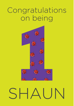 Big 1 With Bugs In It Birthday Card