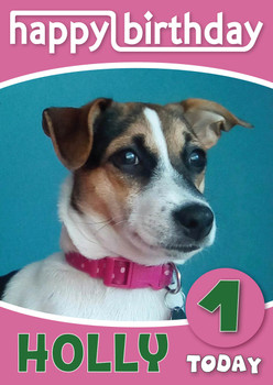 My Pet And Me Personalised Kids Card