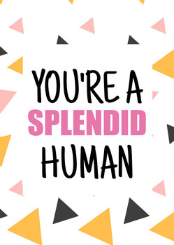 Naughty 349 You're A Splendid Human Birthday Card Naughty 349 You're A Splendid Human Birthday Card