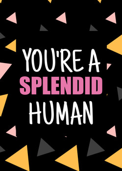Naughty 349a You're A Splendid Human Birthday Card Naughty 349a You're A Splendid Human Birthday Card