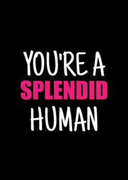 Naughty 349b You're A Splendid Human Birthday Card Naughty 349b You're A Splendid Human Birthday Card