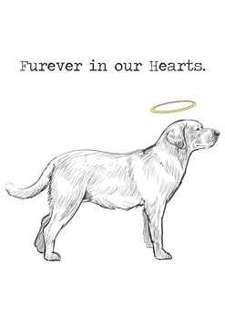 Furever In Our Hearts 3 Birthday Card