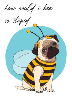 How Could I Bee So Stupid Birthday Card How Could I Bee So Stupid Birthday Card