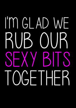 Naughty 183c I'm Glad We Rub Our Sexy Bits Together Birthday Card