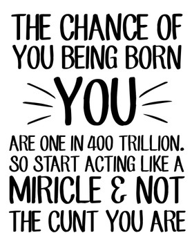 Naughty 269 The Chance Of You Being Born You, Are 1 In 400 Trillion. So Start Acting Like A Miracle & Not The Cunt You Are Birthday Card