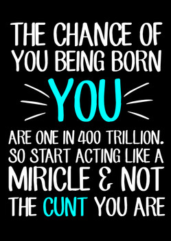 Naughty 269b The Chance Of You Being Born You, Are 1 In 400 Trillion. So Start Acting Like A Miracle & Not The Cunt You Are Birthday Card
