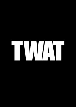 Naughty 299 Twat - Solid Black Birthday Card