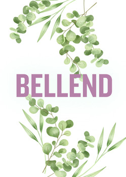 Naughty 31 Bellend Birthday Card