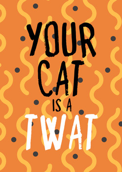 Naughty 396 Your Cat Is A Twat Birthday Card Naughty 396 Your Cat Is A Twat Birthday Card