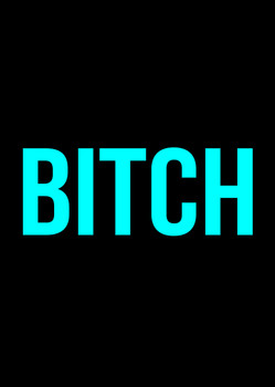 Naughty 45b Bitch Birthday Card