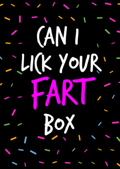 Naughty 54b Can I Lick Your Fart Box  Birthday Card Naughty 54b Can I Lick Your Fart Box  Birthday Card