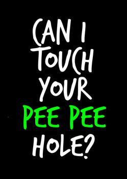 Naughty 56b Can I Touch Your Pee Pee Hole  Birthday Card