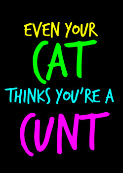 Naughty 92b Even Your Cat Thinks You're A Cunt Birthday Card