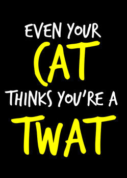 Naughty 92c Even Your Cat Thinks You're A Twat Birthday Card