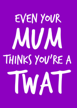 Naughty 97b Even Your Mum Thinks You're A Twat Birthday Card