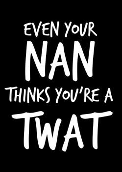 Naughty 99 Even Your Nan Thinks You're A Twat Birthday Card