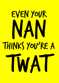 Naughty 99a Even Your Nan Thinks You're A Twat Birthday Card