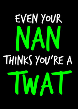 Naughty 99b Even Your Nan Thinks You're A Twat Birthday Card