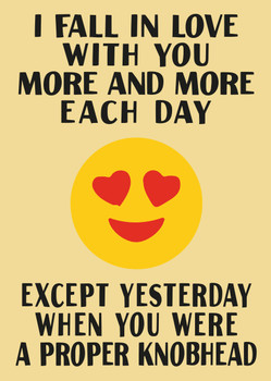 I Fall In Love With You More And More Each Day Except Yesterday When You Were A Proper Knobhead Birthday Card I Fall In Love With You More And More Each Day Except Yesterday When You Were A Proper Knobhead Birthday Card