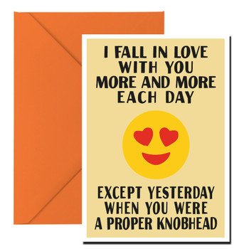 I Fall In Love With You More And More Each Day Except Yesterday When You Were A Proper Knobhead Birthday Card I Fall In Love With You More And More Each Day Except Yesterday When You Were A Proper Knobhead Birthday Card