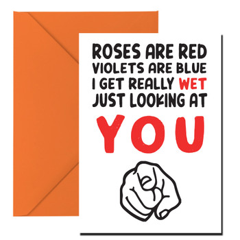Roses Are Red Violets Are Blue I Get Really Wet Just Looking At You Birthday Card