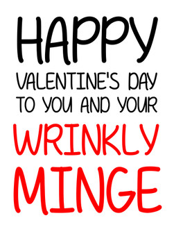 Naughty 133 Happy Valentine's Day To You And Your Wrinkly Minge Birthday Card Naughty 133 Happy Valentine's Day To You And Your Wrinkly Minge Birthday Card
