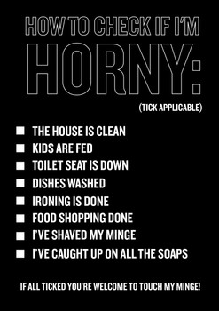 Naughty 143 How To Check If I'm Horny Birthday Card