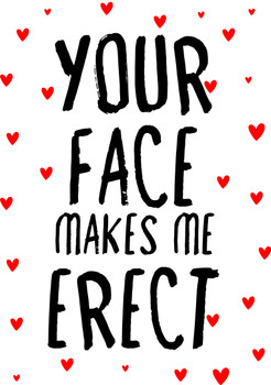 Naughty 399 Your Face Makes Me Erect Birthday Card Naughty 399 Your Face Makes Me Erect Birthday Card