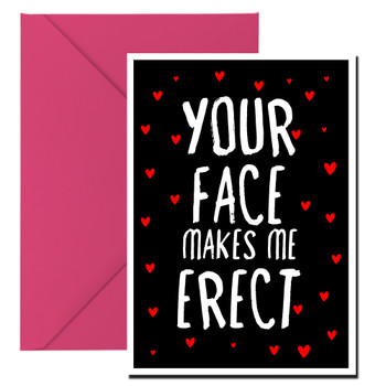 Naughty 399a Your Face Makes Me Erect Birthday Card Naughty 399a Your Face Makes Me Erect Birthday Card