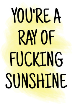Naughty 348 You're A Ray Of Fucking Sunshine Birthday Card