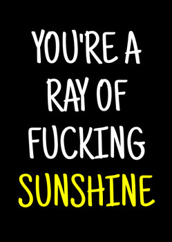 Naughty 348a You're A Ray Of Fucking Sunshine Birthday Card Naughty 348a You're A Ray Of Fucking Sunshine Birthday Card