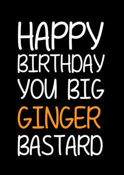 Naughty 121 Happy Birthday You Big Ginger Bastard Birthday Card Naughty 121 Happy Birthday You Big Ginger Bastard Birthday Card